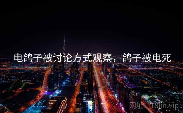 电鸽子被讨论方式观察，鸽子被电死