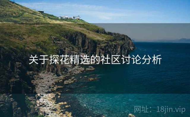 关于探花精选的社区讨论分析