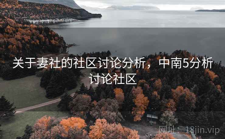 关于妻社的社区讨论分析，中南5分析讨论社区