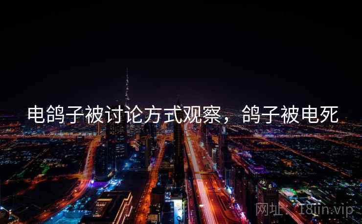 电鸽子被讨论方式观察,鸽子被电死 电鸽子被讨论方式观察,鸽子被电死