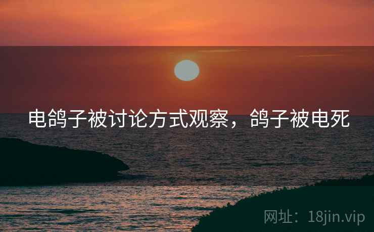 电鸽子被讨论方式观察,鸽子被电死 电鸽子被讨论方式观察,鸽子被电死