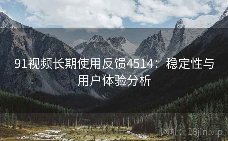 91视频长期使用反馈4514:稳定性与用户体验分析 91视频长期使用反馈4514:稳定性与用户体验分析